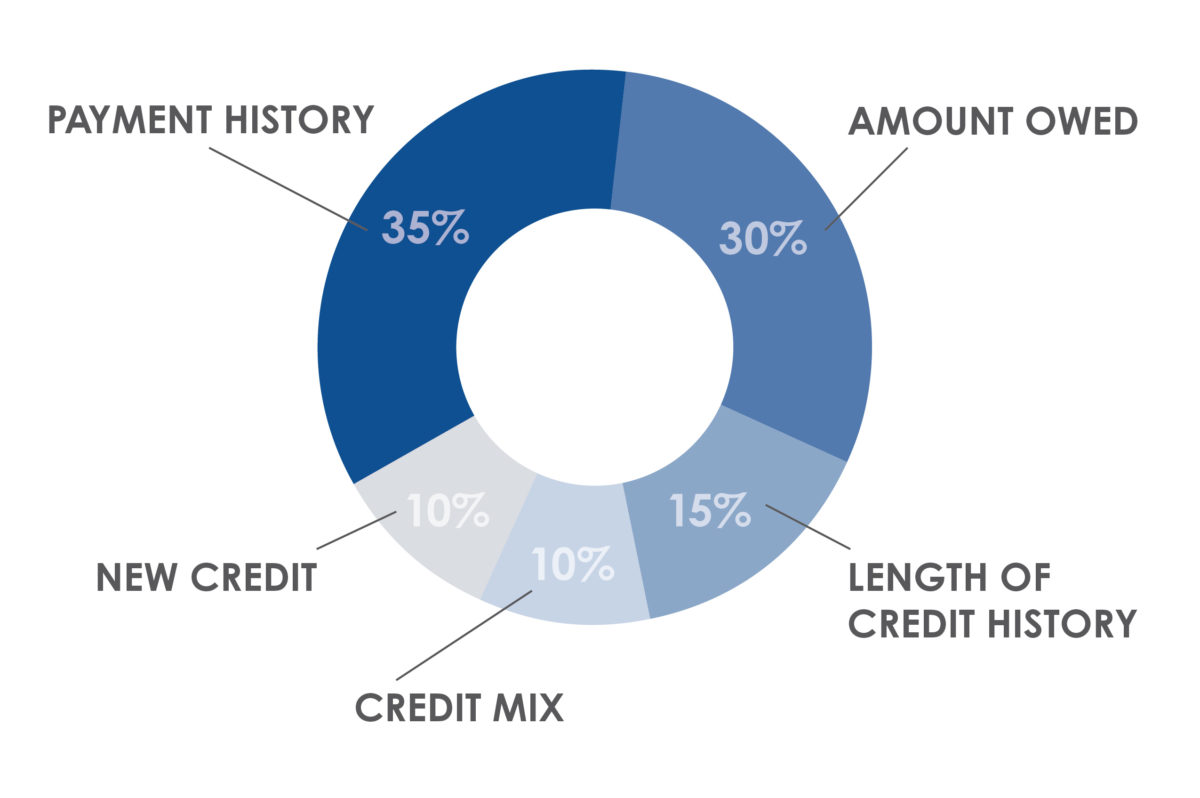 A graph that shows the factors that determine your credit score.
